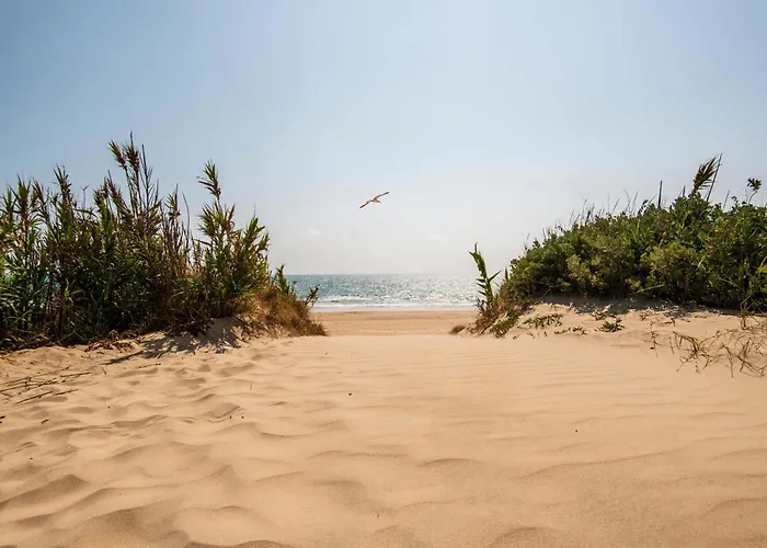 Barcelo Golf & 4* Costa Ballena